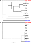 FIG 1