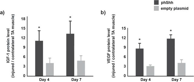 Figure 5.