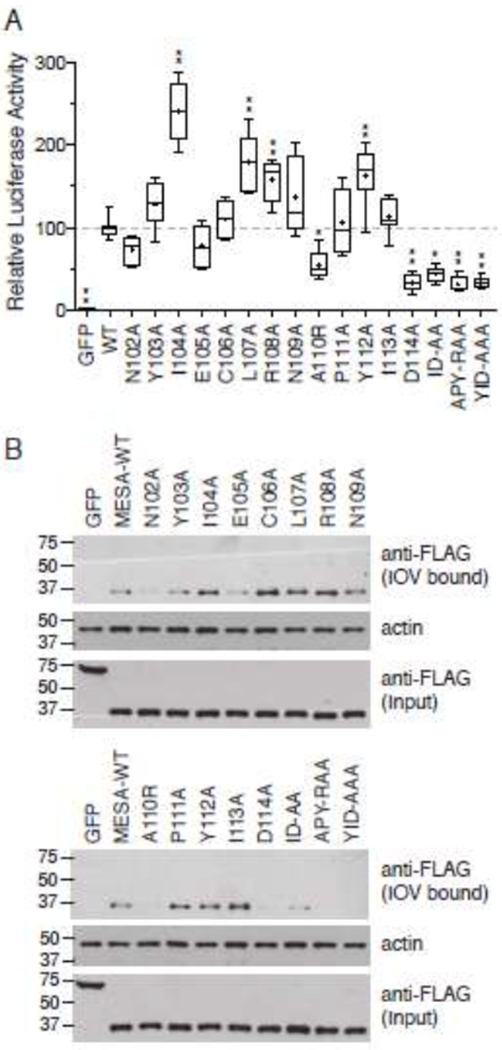 Fig. 8.