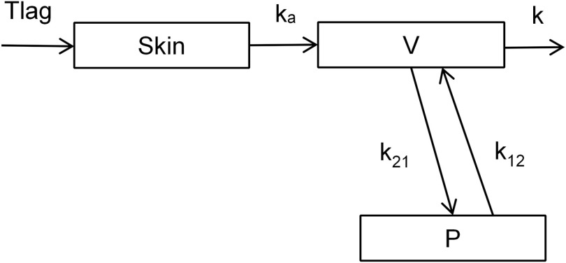 Figure 2 is a flowchart comprising three steps. Step 1: A lag time leads to skin. Step 2: Skin with Absorption rate constant leads to volume of central compartment. Step 3: Volume of central compartment leads to first order elimination rate constant and with two rate constants leads to peripheral compartment. There is a two-way arrow between volume of central compartment and peripheral compartment.