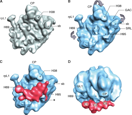 Figure 2.