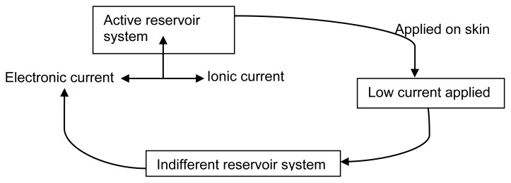 Fig. 5