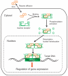 Figure 7.2