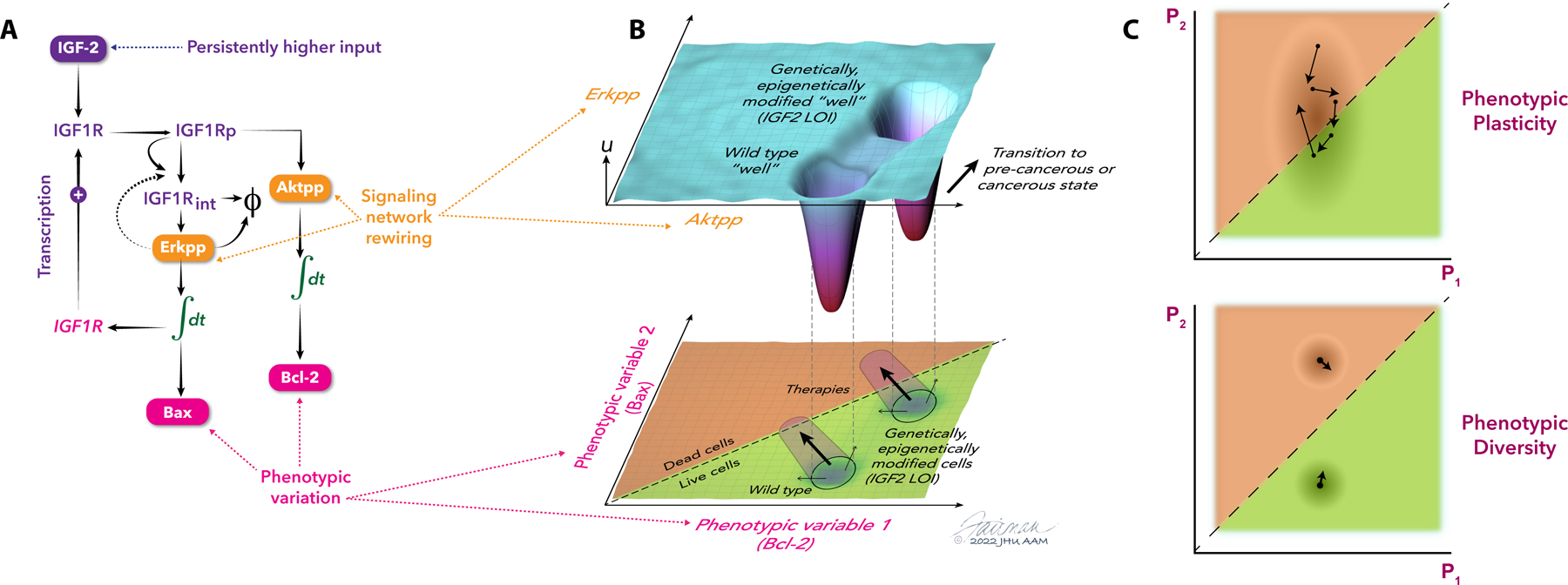 Figure 3.