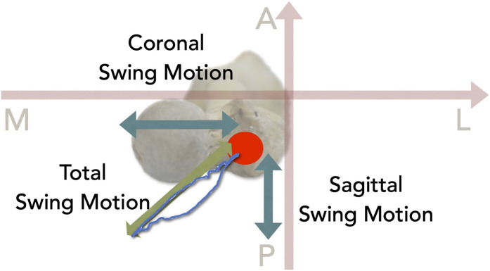 Fig. 3