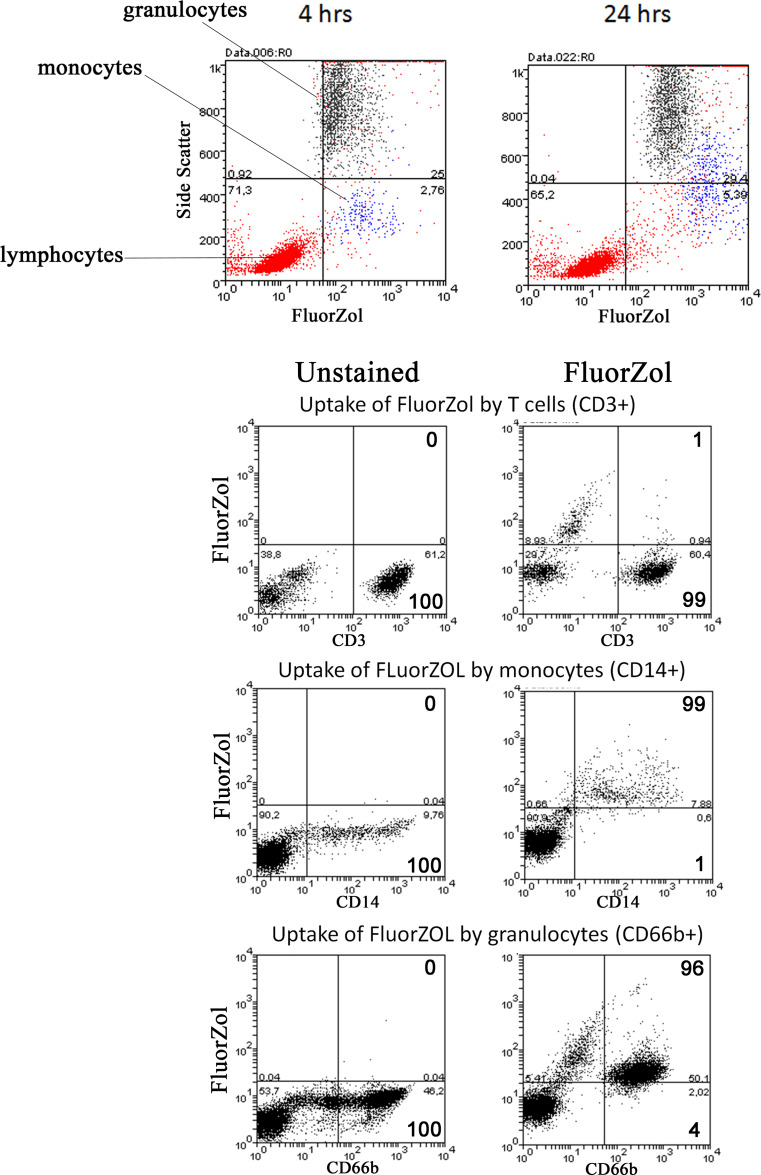 Fig. 1