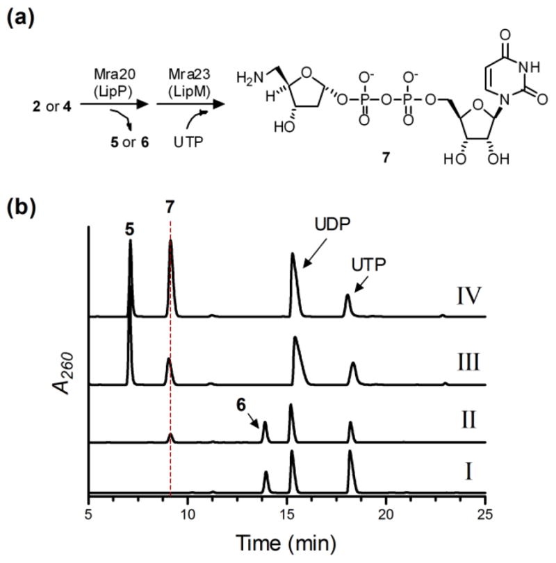 Fig. 4