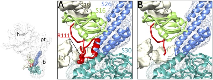 Fig. 3.