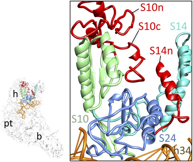 Fig. 4.