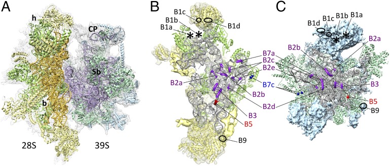 Fig. 6.