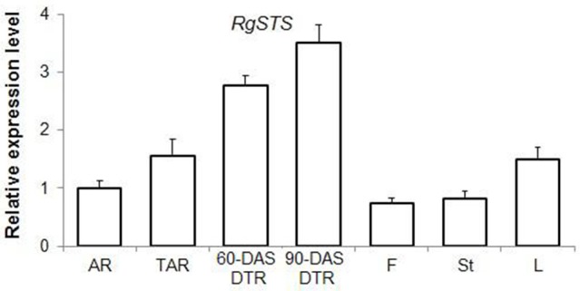 Figure 6