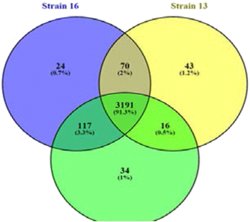 Fig. 4 (abstract P17)