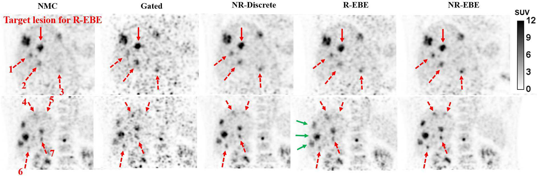 Fig. 10.