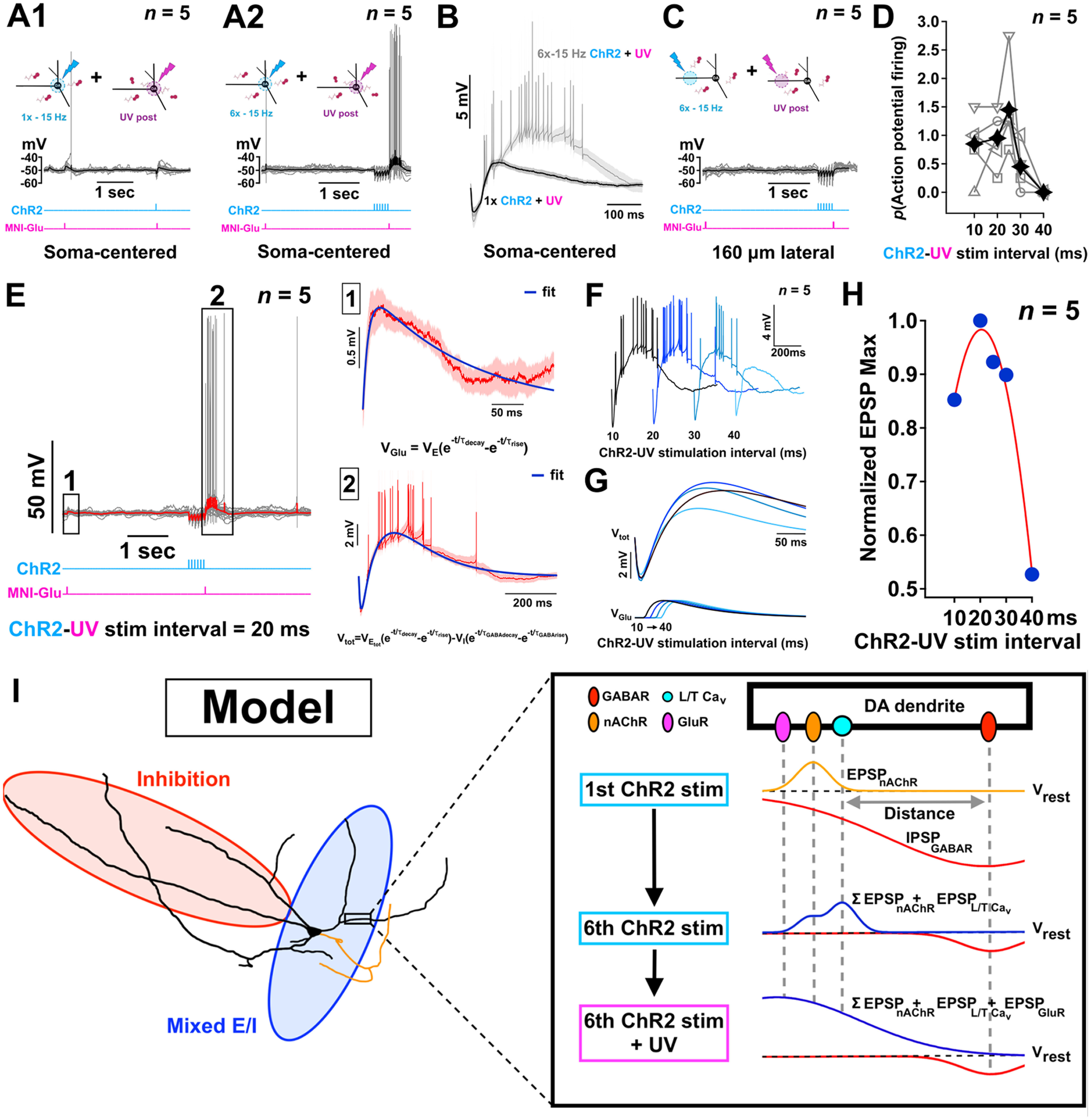 Figure 12.