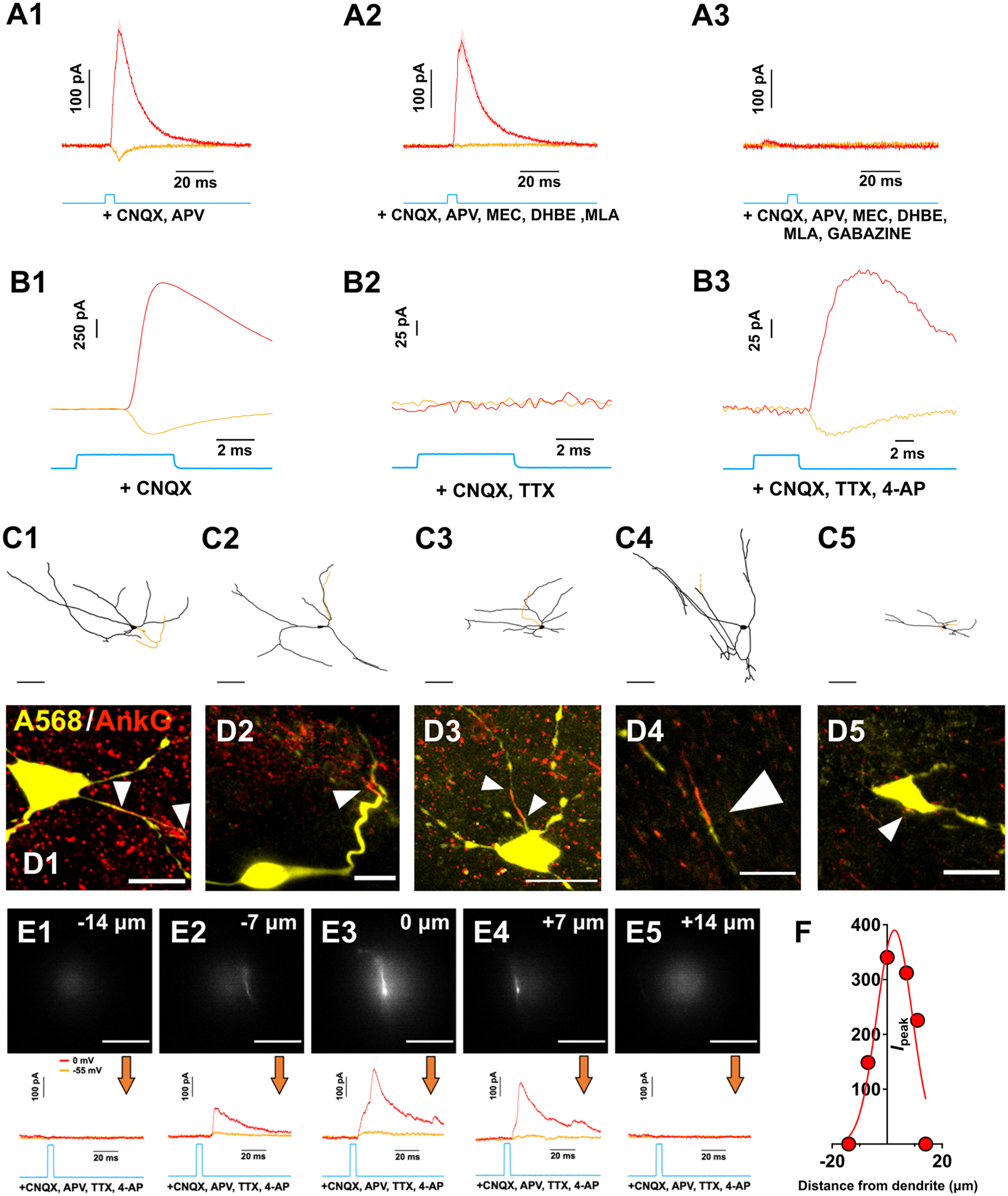 Figure 3.