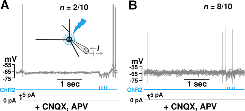 Figure 9.