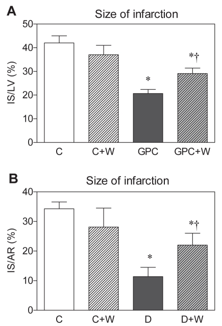 Figure 4)