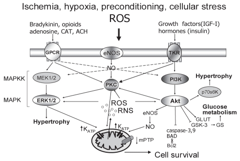 Figure 3)