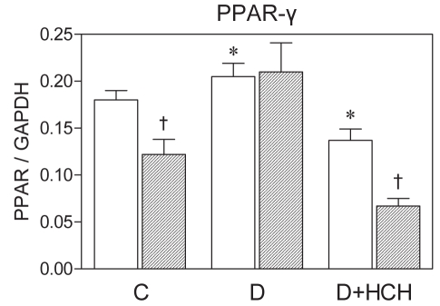 Figure 6)