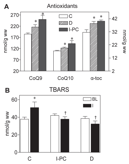 Figure 2)