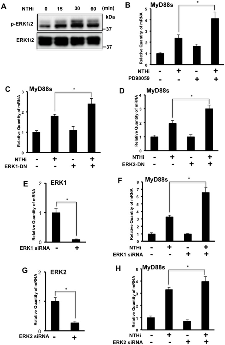 Fig 5