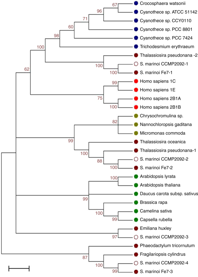 Fig. 3