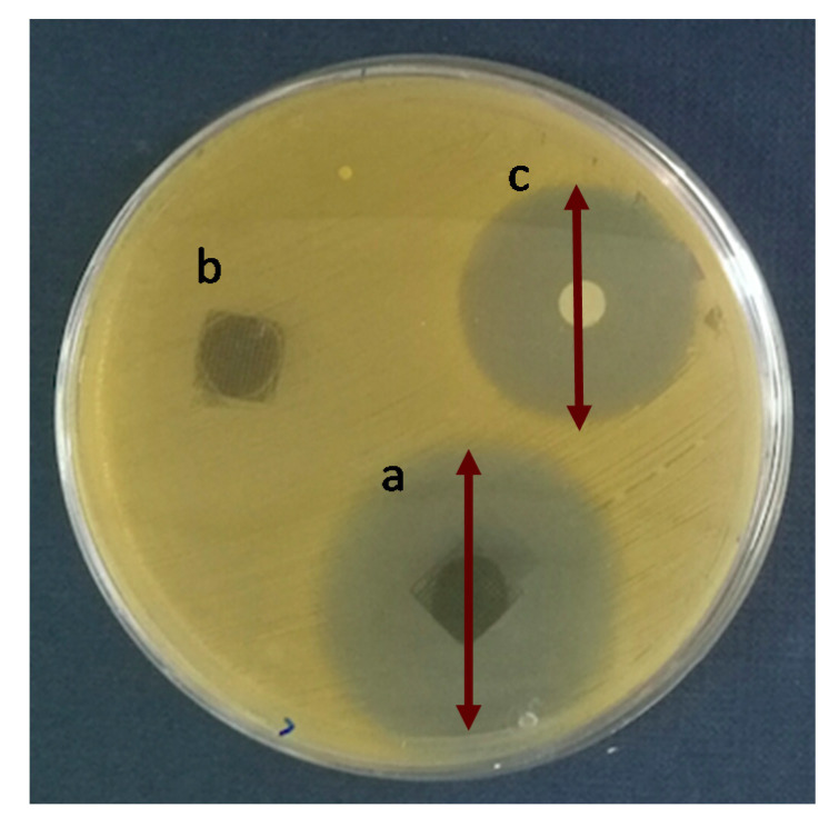 Figure 7