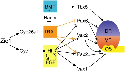 Figure 9.