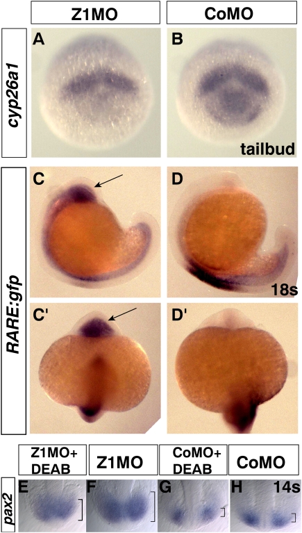 Figure 7.