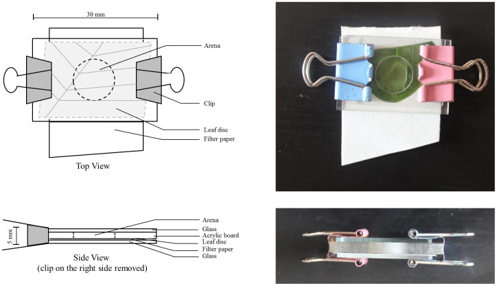 Fig 1