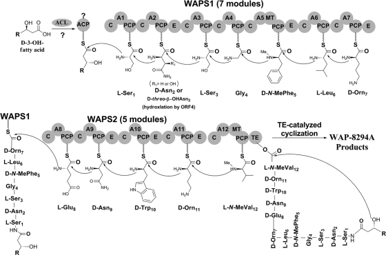 Fig. 4.