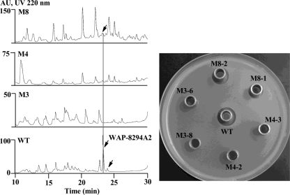 Fig. 3.