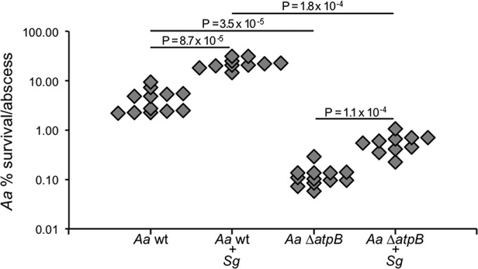 FIG 5 