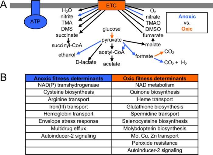 FIG 1 