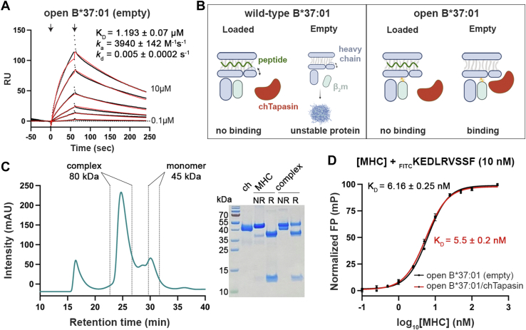 Figure 2