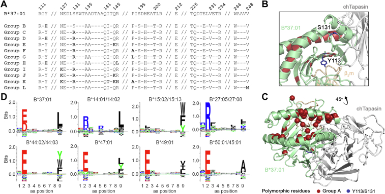 Figure 4