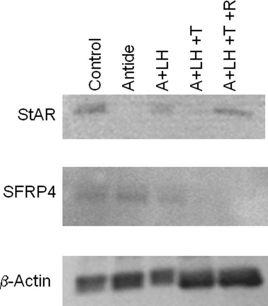 Figure 7