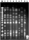 FIG. 2.