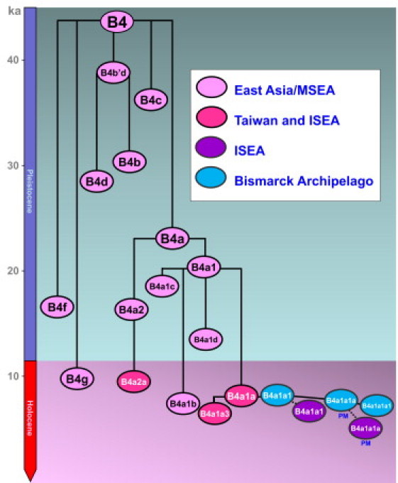 Figure 2