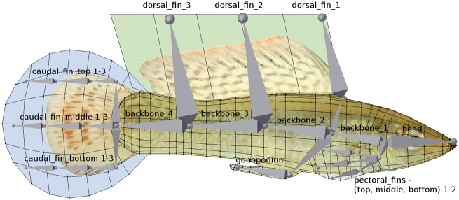 Figure 2.