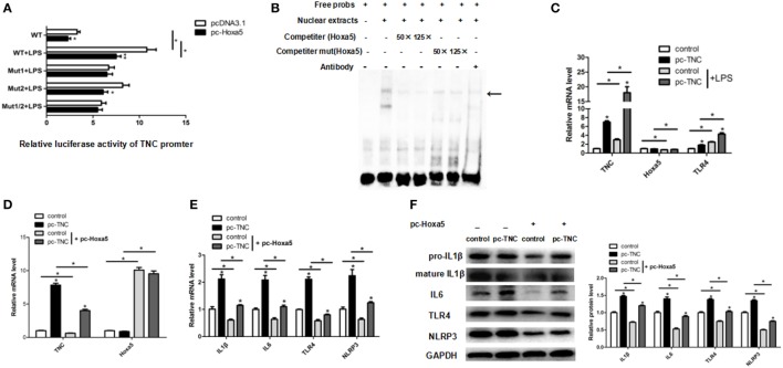 Figure 6