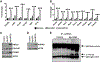 FIG. 6.