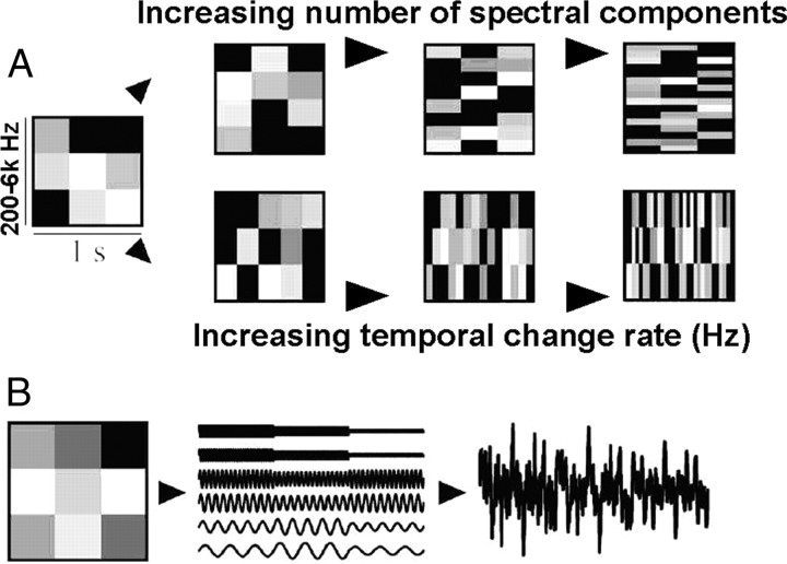 Relating Structure to Function: Heschl's Gyrus and Acoustic Processing ...