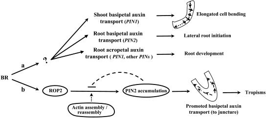 Figure 9.