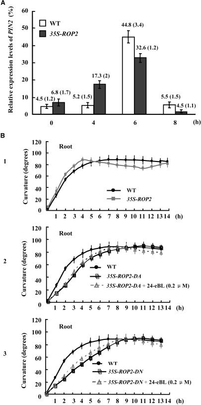 Figure 7.