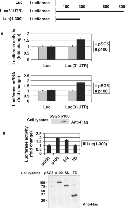 Figure 5.