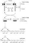 FIG. 1