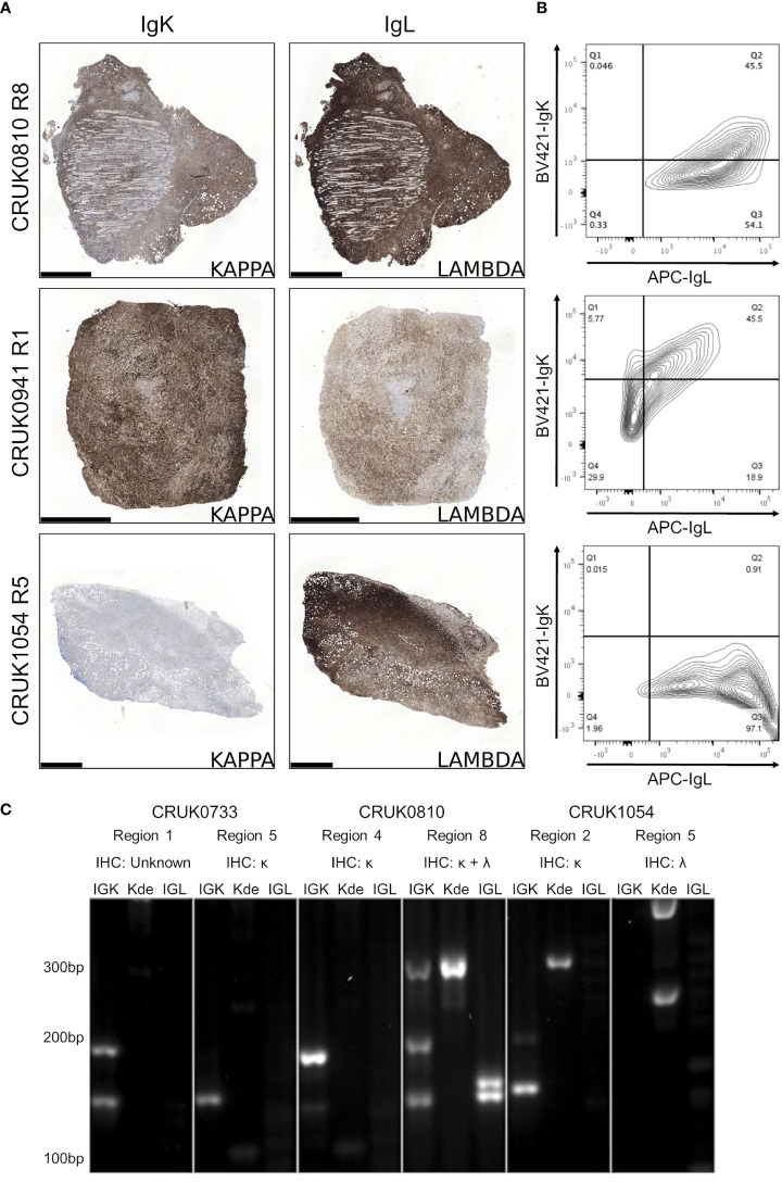 Figure 4