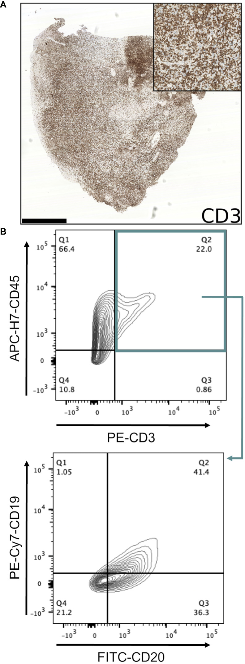 Figure 3