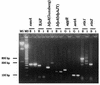 FIG. 1.